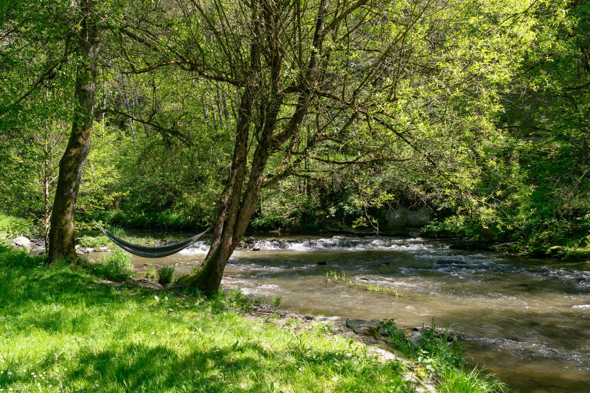 L'Eau Vive — photo 7